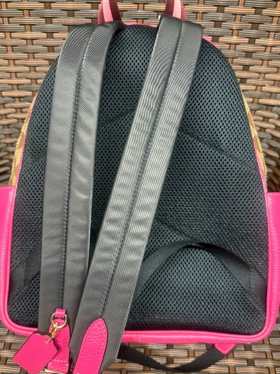 Coach Court Backpack In Signature Canvas 5671